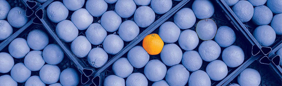 Durban Advertising and Design